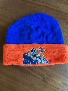 Vintage Denver Broncos Looney Tunes Beanie Taz NFL 1995 Knit Hat